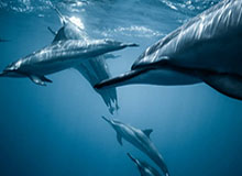 张德顺刷新中国女子10公里路跑最好成绩